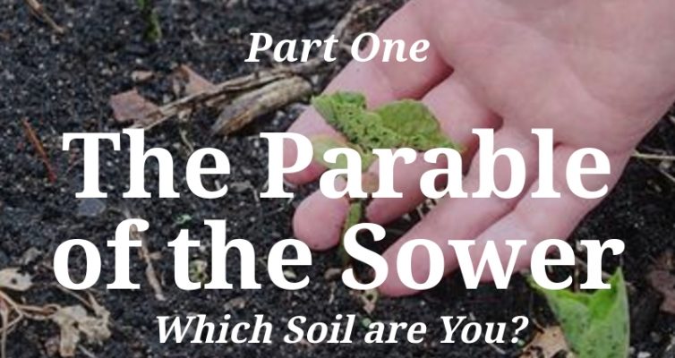 Taking the Riddles Out of the Parables_Part One: The Parable of the Sower, Which Soil are You? by Steppes of Faith