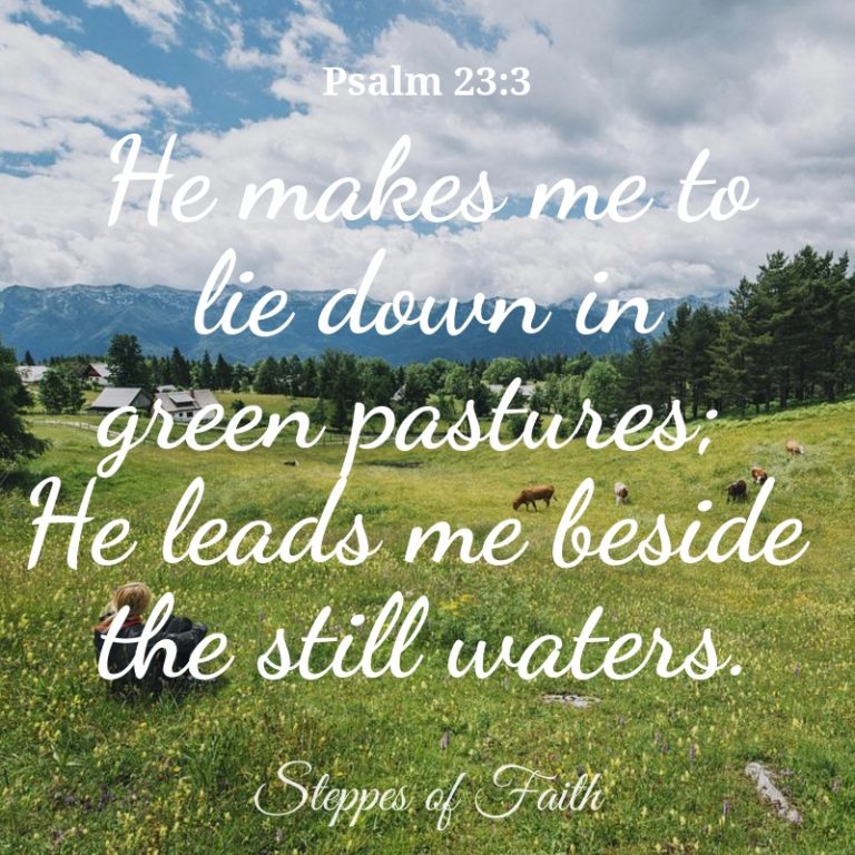 Understanding Psalm 23: What God Meant by Green Pastures and Still Waters