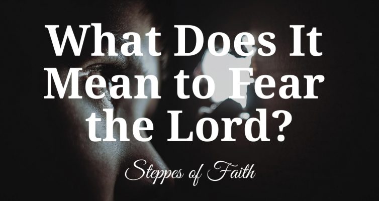 Title: "What Does It Mean to Fear the Lord?" by Steppes of Faith