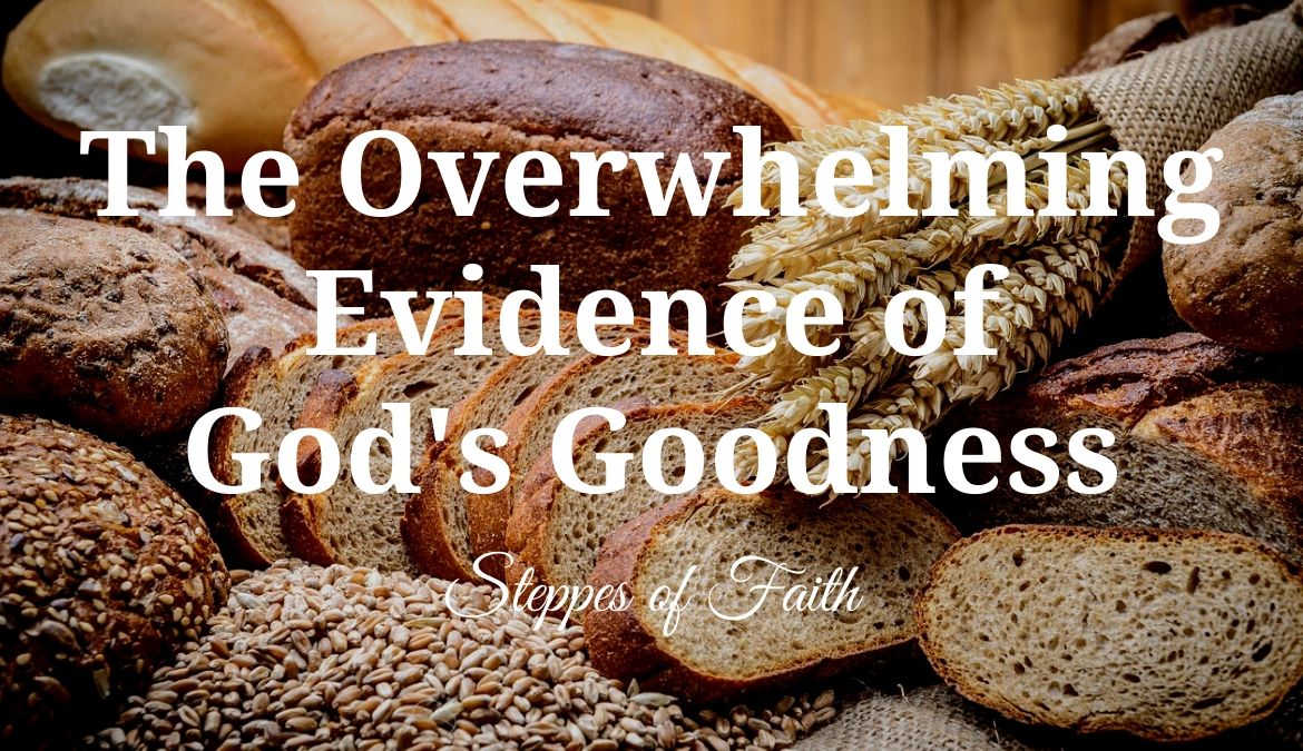 What Are The Goodness Of God To Us