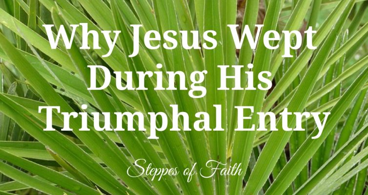 "Why Jesus Wept During His Triumphal Entry" by Steppes of Faith