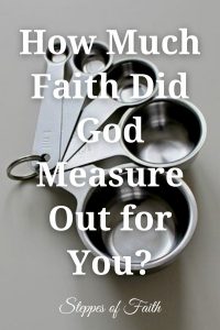 How Much Faith Did God Measure Out for You? by Steppes of Faith