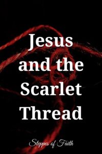 "Jesus and the Scarlet Thread" by Steppes of Faith