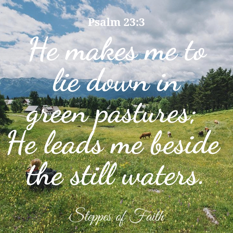 Understanding Psalm 23: What God Meant by Green Pastures and Still Waters