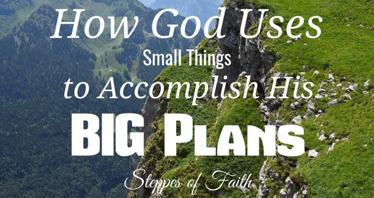 How God Uses Small Things to Accomplish His Big Plans by Steppes of Faith