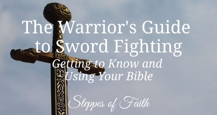 "The Warrior’s Guide to Sword Fighting: Getting to Know and Using Your Bible" by Steppes of Faith