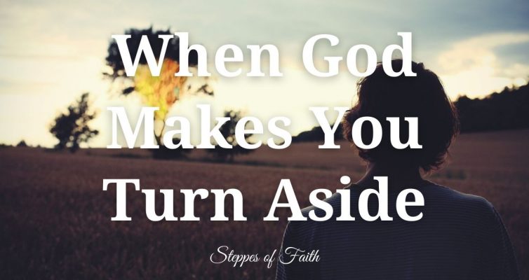 When God Makes You Turn Aside by Steppes of Faith