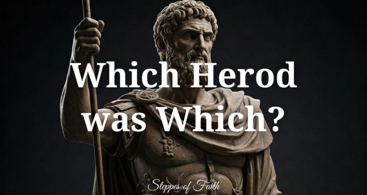 "Which Herod is Which?" by Steppes of Faith