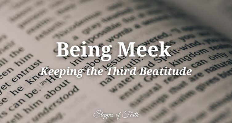 "Being Meek: Keeping the Third Beatitude" by Steppes of Faith