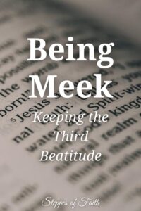 "Being Meek: Keeping the Third Beatitude" by Steppes of Faith